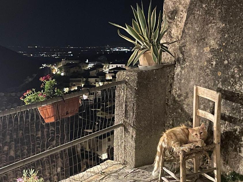 B&B Dhafna Civita Exterior foto